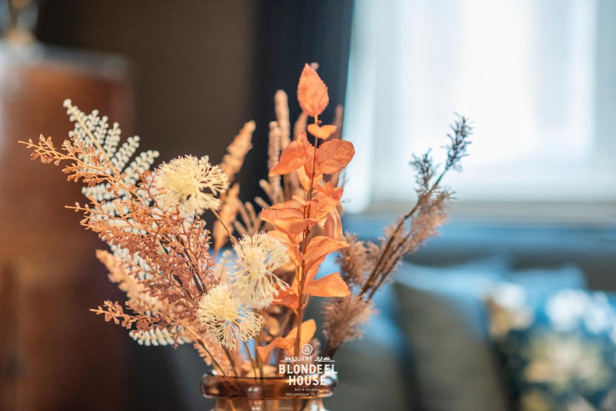 Bed & Breakfast The Blondeel House Brugge Center Екстер'єр фото